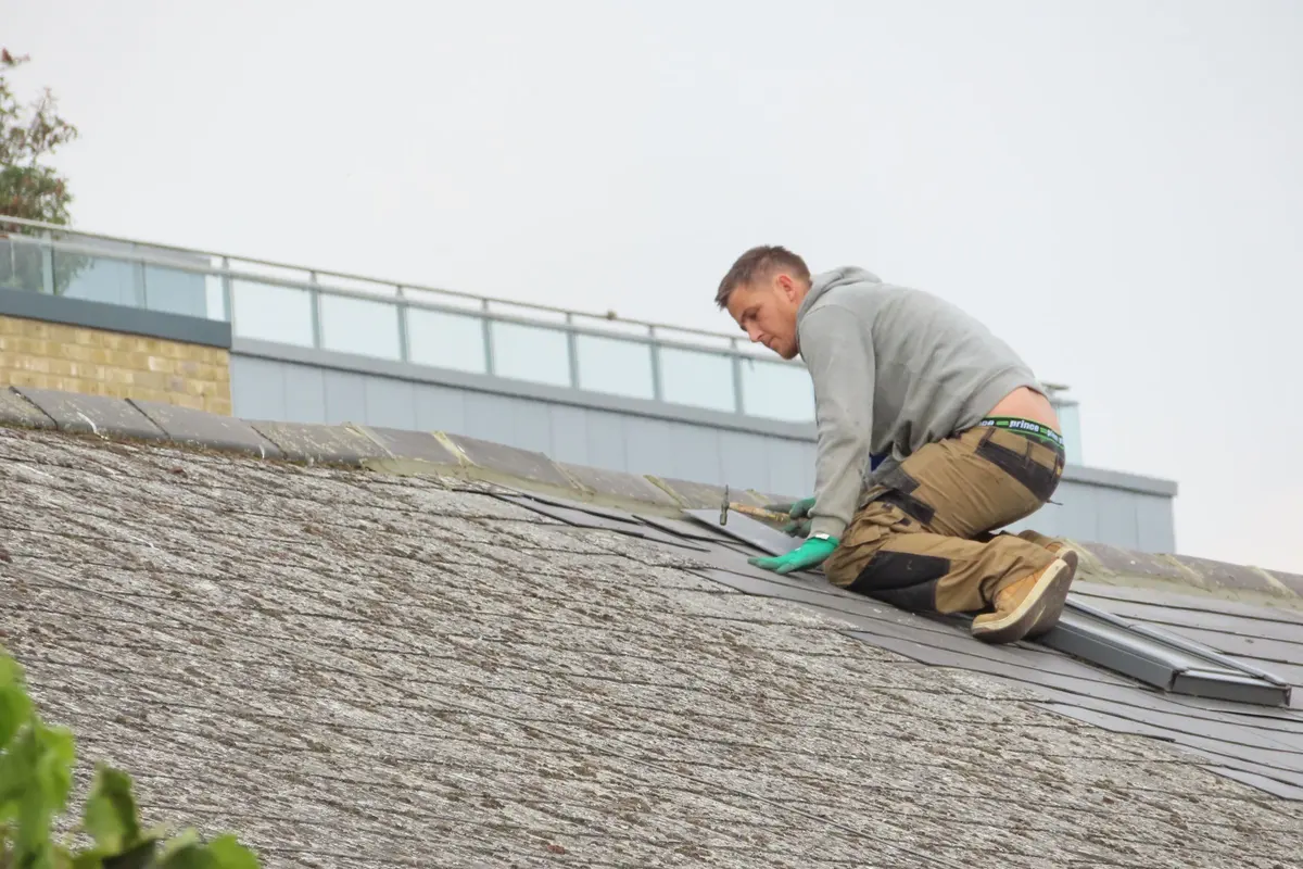 Roof Repair in Los Angeles, CA